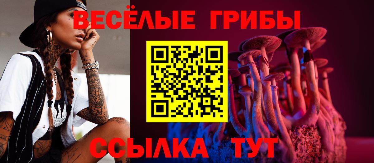 Псилоцибиновые грибы ЛСД Георгиевск
